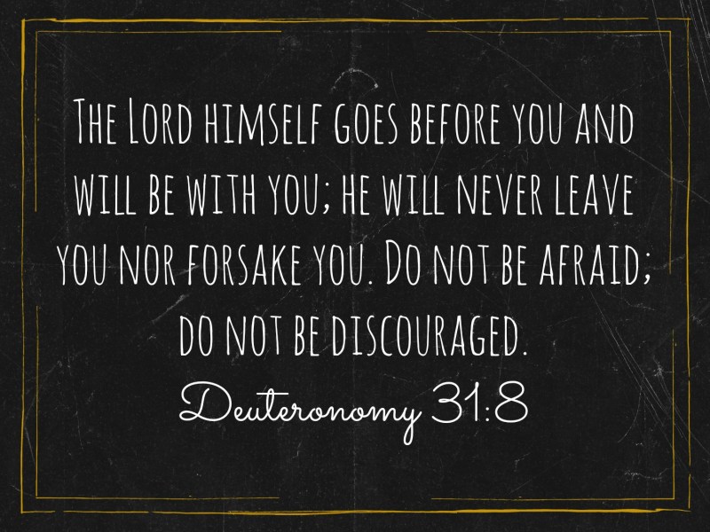 Deut31-8